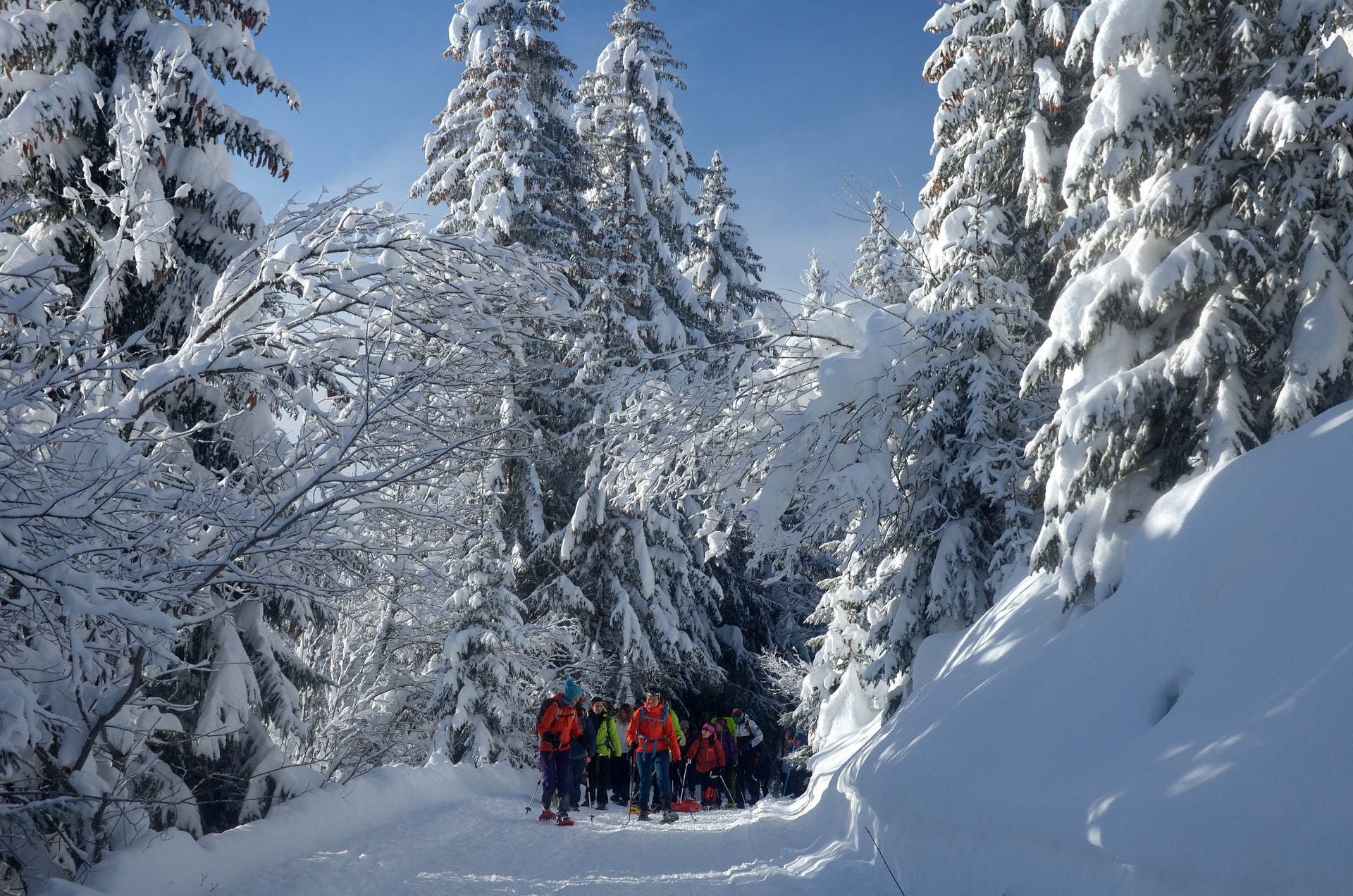 people snowshoeing